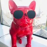 shachiの画像