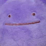 ここの画像