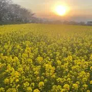 ふ　　プロフ必読　断捨離中の画像
