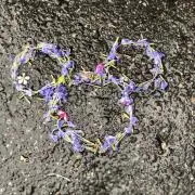 あられの画像