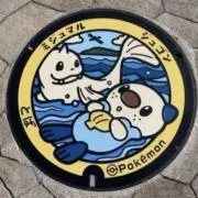 めめこじの画像