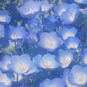 星乃┊︎即購入歓迎の画像