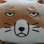 チベの画像