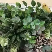 myk（＾∇＾）の画像