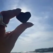 sunshineの画像