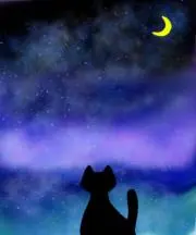 ktnntaleの画像