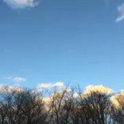 かめろうの画像