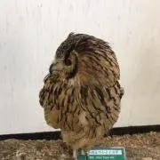 Ｍ★即購入ＯＫですの画像