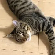 ぼち