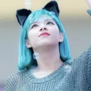 檸檬の画像
