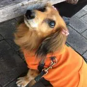 ビビアン