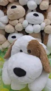 テユタンの画像