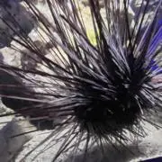 手汗エブリデイ