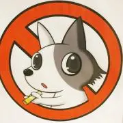 ゆきち