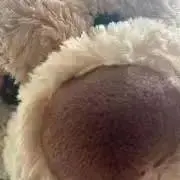 ギョーザの画像