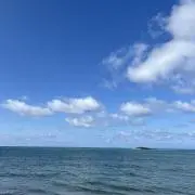 gomaの画像
