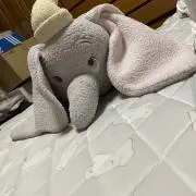 ◇ユキ◇の画像