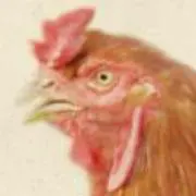 いちお
