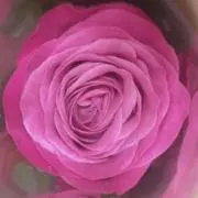 chie♡【値下げ相談可☆即購入OK◎】の画像