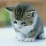 (匿名配送)ゆうの画像