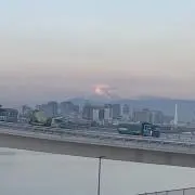 アフリカマイマイ