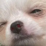MJQ_____