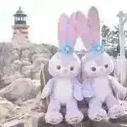 ＊Fleur＊の画像