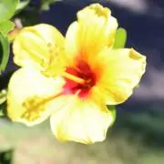 ☆M17☆の画像