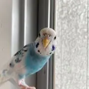 ゆーきの画像