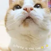 hiiiiiiii -mama