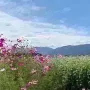 mamako＊の画像