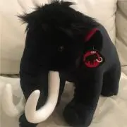 MAMMUTの画像