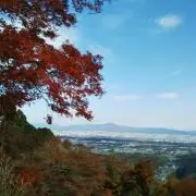 のりたまごの画像