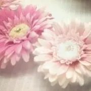 かなきの画像