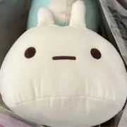 ひおこしの画像