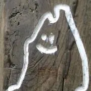 mapleの画像