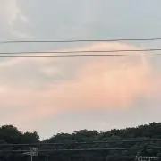 にこの画像