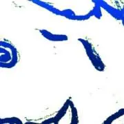 キャベツの画像