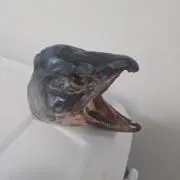 KNTRの画像