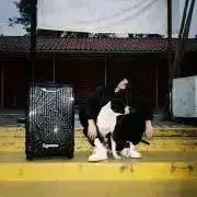 sk8k)の画像