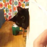 ビムラブ