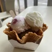 sunflowerの画像