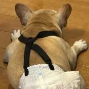 みっちゃんの画像
