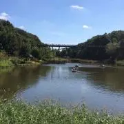 シェリーの画像