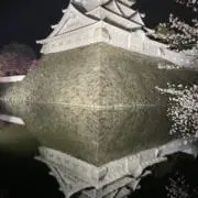 kannon