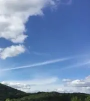 ポムミの画像