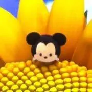 Mackyの画像