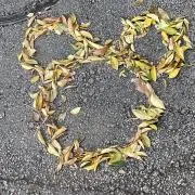 まゆ