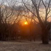 はるけんの画像