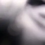 ねこまるの画像
